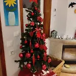 Saudade Gafanha da Boa Hora