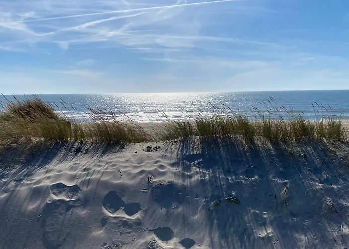Saudade Apartamento Gafanha da Boa Hora
